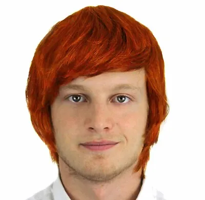 Adult Mens Fancy Dress 1970' Tony Wig Ginger 70's Party Accessory Boy Band • £6.99