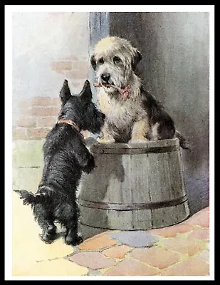 £4.99 • Buy Dandie Dinmont  & Scottish Terrier Dogs Vintage Style Dog Art Print Poster
