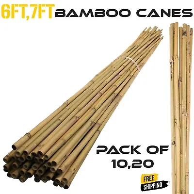 6FT 7FT Bamboo Canes Strong Heavy Duty Stick Plant Support Garden Stake • £14.99