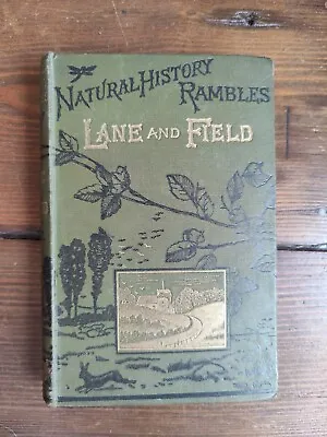 £40.95 • Buy NATURAL HISTORY RAMBLES Lane & Field 1897 Antique Book JG Wood Queen's Prize C19