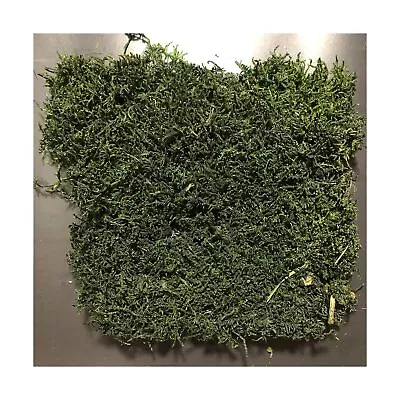 Bulk Wholesale Preserved Sheet Moss Sheet Moss Bun Moss Cushion Moss Natural ... • $381.04