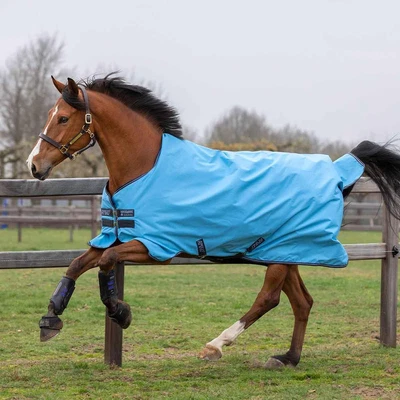 £89.95 • Buy Horseware Amigo Hero 900 Lite 0g Horse Waterproof Turnout Rug - Capri Blue