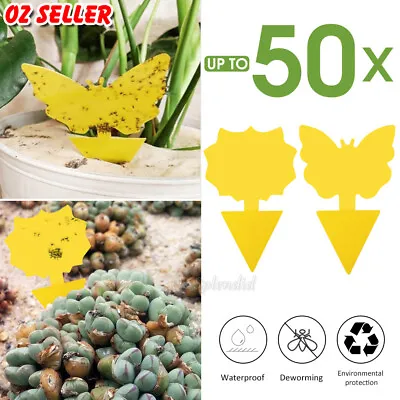 10/20/30/50x Dual Sided Sticky Trap Insect Killer Whitefly Thrip Fruit Fly Gnat • $4.75