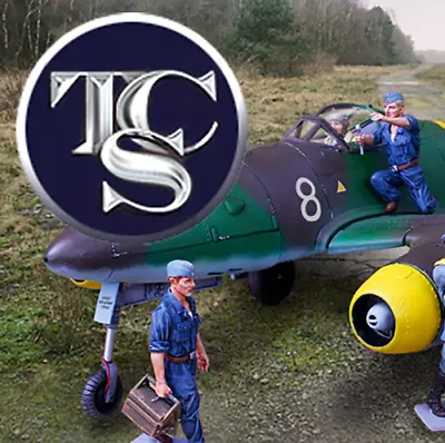 Collectors Showcase Me262 Cs01193 German Wwii Jet Fighter Painted Model • $329