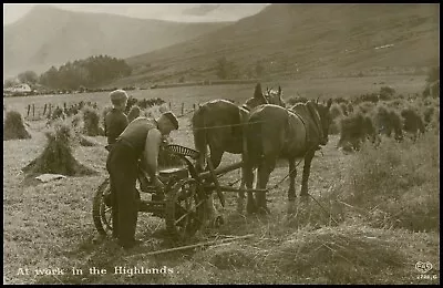 Rural: 'At Work In The Highlands' RPPC Of A Plough & Horses. O • £4.99