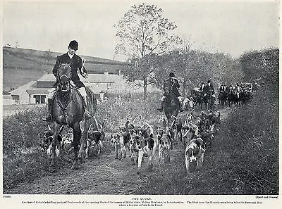 Foxhound The Quorn Hunt At Kirby Gate Nice Old Image 1934 Dog Print Page • £6.49