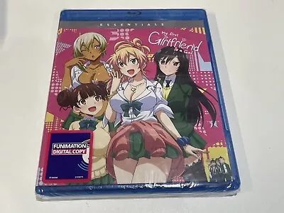 MY FIRST GIRLFRIEND IS A GAL: Complete Series (2019) FUNimation Masakatsu Omuro • $70