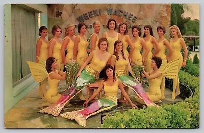 Postcard - Weeki Wachee Florida - Mermaid Capital - Posted In 1964 (Q34) • $5.99