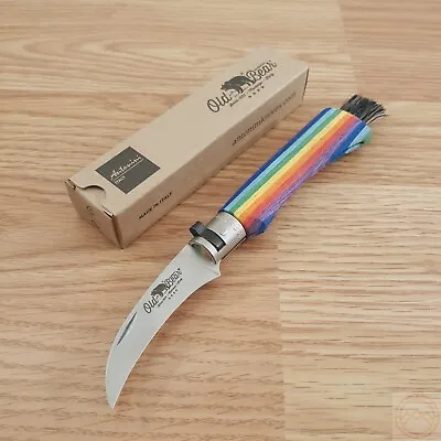 Old Bear Mushroom Folding Knife 2.75  420 Steel Curved Blade Rainbow Wood Handle • $37.29