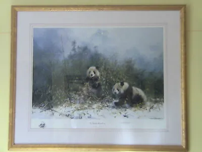 The Panda's Of Wolong ~ David Shepherd Signed Limited Edition Framed • £300