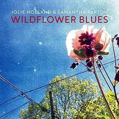 Jolie Holland - Wildflower Blues [Used Very Good Vinyl LP] • $19.91