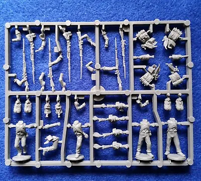 Perry Miniatures Napoleonic French Elite Sprue 1807-14 NEW TO RANGE • £2.20