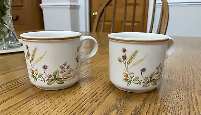 MARKS AND SPENCER M&S Harvest  2 X SMALL TEA /  COFFEE  CUPS MUGS • £4.50