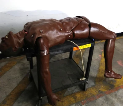 $389.99 • Buy Laerdal EMS/CPR/Nursing Adult Full Body Airway Training Medical Manikin