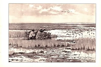 SNIPE SHOOTING BIRD HUNTERS A.B. Frost Antique Lithograph 1904 • $34