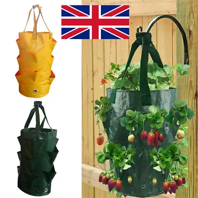 £3.99 • Buy  Garden Planting Bags Wall Hanging Pouch Tomato Strawberry Flower Herb Planter