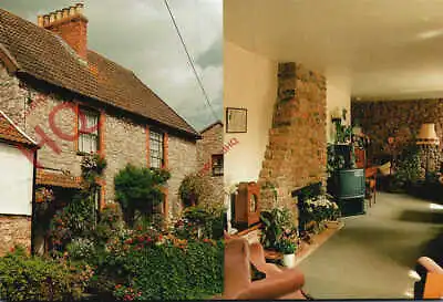 Picture Postcard__Cheddar Chedwell Cottage (Multiview) • £3.49