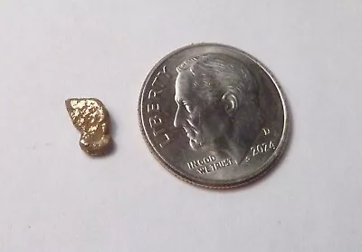Natural Placer Gold Nugget .31 Grams Alaska Gold Low Starting Bid • $19.84