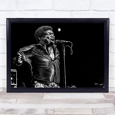 Charles Bradley In Memory Performance Microphone Singer Stage Show Art Print • £25.99