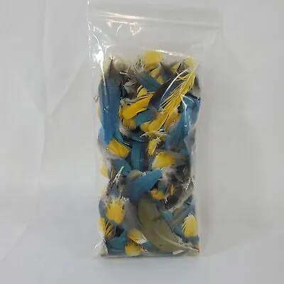 Blue And Gold Macaw Feather Tail  4 “ 1/4-  Peyote Craft Fishing LOT .5 OZ BAG • $58.48