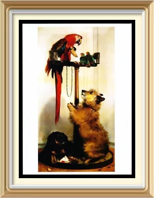 Landseer Art Print Queen Victoria's Dogs ISLAY & Tilco Macaw Bird & Lovebirds • $1.56