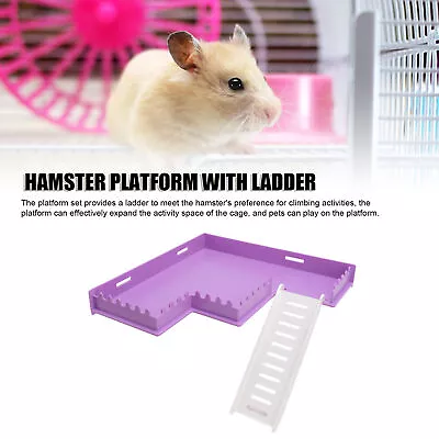 (M Type)Hamster Platform With Ladder For Cage Promotes Exercise And Mental • £12.78