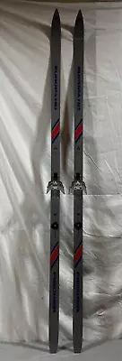 Fischer Europa HC 195cm Waxed Cross Country Skis Rottefella 3-Pin Bindings CLEAN • $79.95