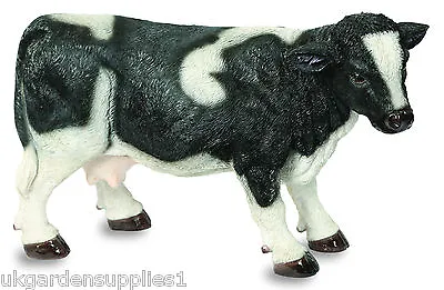 Cow Garden Ornament Statues Sculpture Outdoor Black White Calf Figurine • £27.16