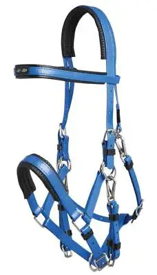 £69.99 • Buy Zilco Marathon Endurance Bridle – Royal Blue