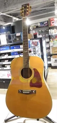 IBANEZ AW300 ARTWOOD DREADNOUGHT Acoustic Guitar #25605 • $648