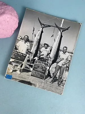 Balboa Angling Club 1952 Prize Double Marlin Photo Bill Kemper Mounted Photo • $25.82