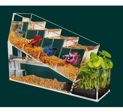 $89 • Buy  Fighting Fish Tanks Betta Fish Transparent Plastic Acrylic Office Desk