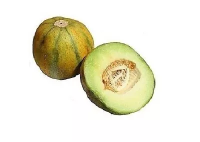 Melon Seeds Multiple Varieties Watermelon Musk Cantelope Crenshaw Canary Asian • $1.88