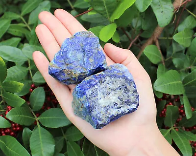 2 LARGE Rough Lapis Lazuli Chunks 2  - 3  (Blue Raw Crystal Gemstone Specimen) • $9.95