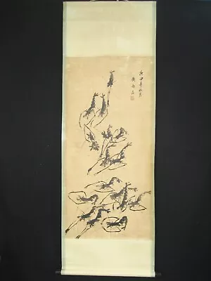 Chinese Beautiful Scroll Painting About Shrimps By Qi Baishi 齐白石 虾 • $109