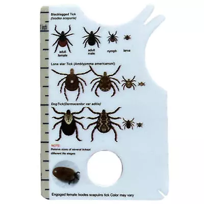 1-5PCS Magnifying Glass Tick Card Magnifying Glass Pet Lice Catcher • $7.46