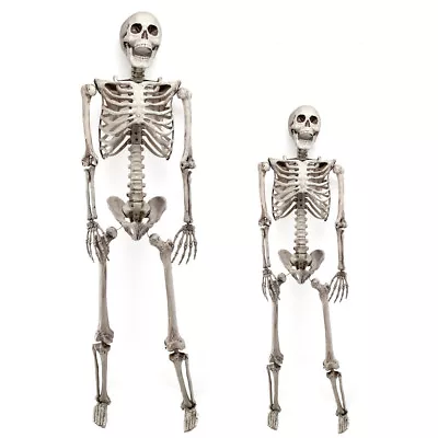 3/5.6/6.07ft Halloween Skull Skeleton Human Full Life Size Bone Prop Party Decor • $21.99
