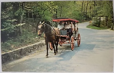 Surrey Ride Hot Springs National Park Horse Drawn Buggy Postcard Chrome Unposted • $4.74