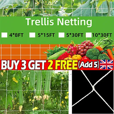 £4.39 • Buy Plant Support Mesh Garden Netting`Vegetable Fruit Climbing`Net Pea/Bean·Trellis·
