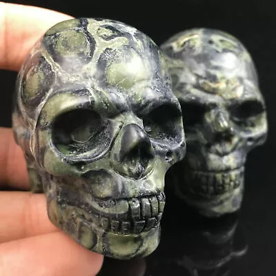 2  Natural Kambaba Jasper Quartz Crystal Skull Carved Skull Reiki Healing 1pc • £14.06