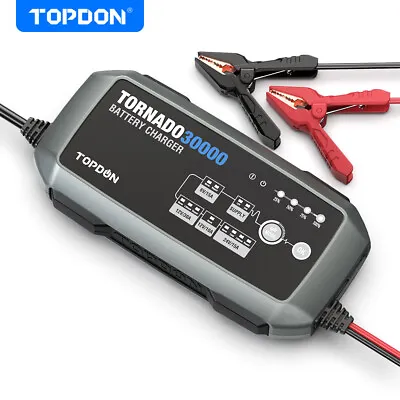 TOPDON T30000 Car Stable Power Supply & Voltage Stabilizer For Truck Boat SUVs • $289