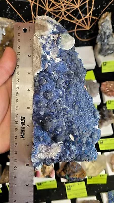 Huge 8.5 X3.5  2lb 8.9oz Mongolian Blue Fluorite Cabinet Specimen • $200