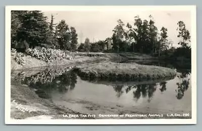 La Brea Tar Pits  Prehistoric Animal Graveyard  RPPC Plunkett Photo~Paleontology • $12.99