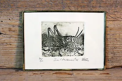 Grasshopper Chapulín Print Etching Handmade Brass Framed Abelar Mexican Folk Art • $28.80