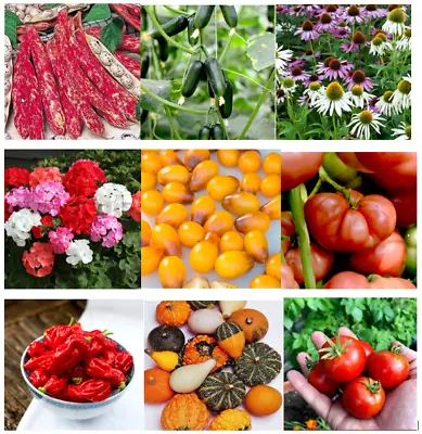 Flower And Vegetable Seeds Dobies Quality • £3