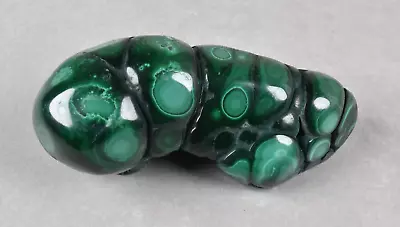 Polished Botryoidal Malachite From Congo  8.9 Cm   # 19961 • $31.95
