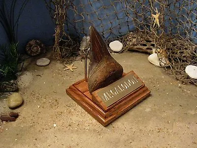 MEGALODON SHARK TOOTH 4  FOSSIL DISPLAY STAND ENGRAVED PLAQUE Tooth Not Included • $16.99