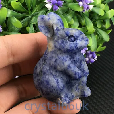 2 + Natural Blue Spot Stone Rabbit Carved Quartz Crystal Skull Healing 1PC • £22.80