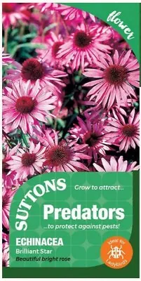 Suttons - Flower - Echinacea Brilliant Star  Sow By Date 7/24 50% Off  60 Seeds • £1.50