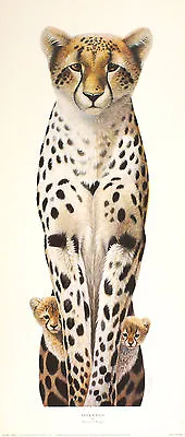 £18.19 • Buy WARWICK HIGGS Peek-a-Boo Cheetah Art Print HUMOUR New SIZE:60cm X 21cm  RARE